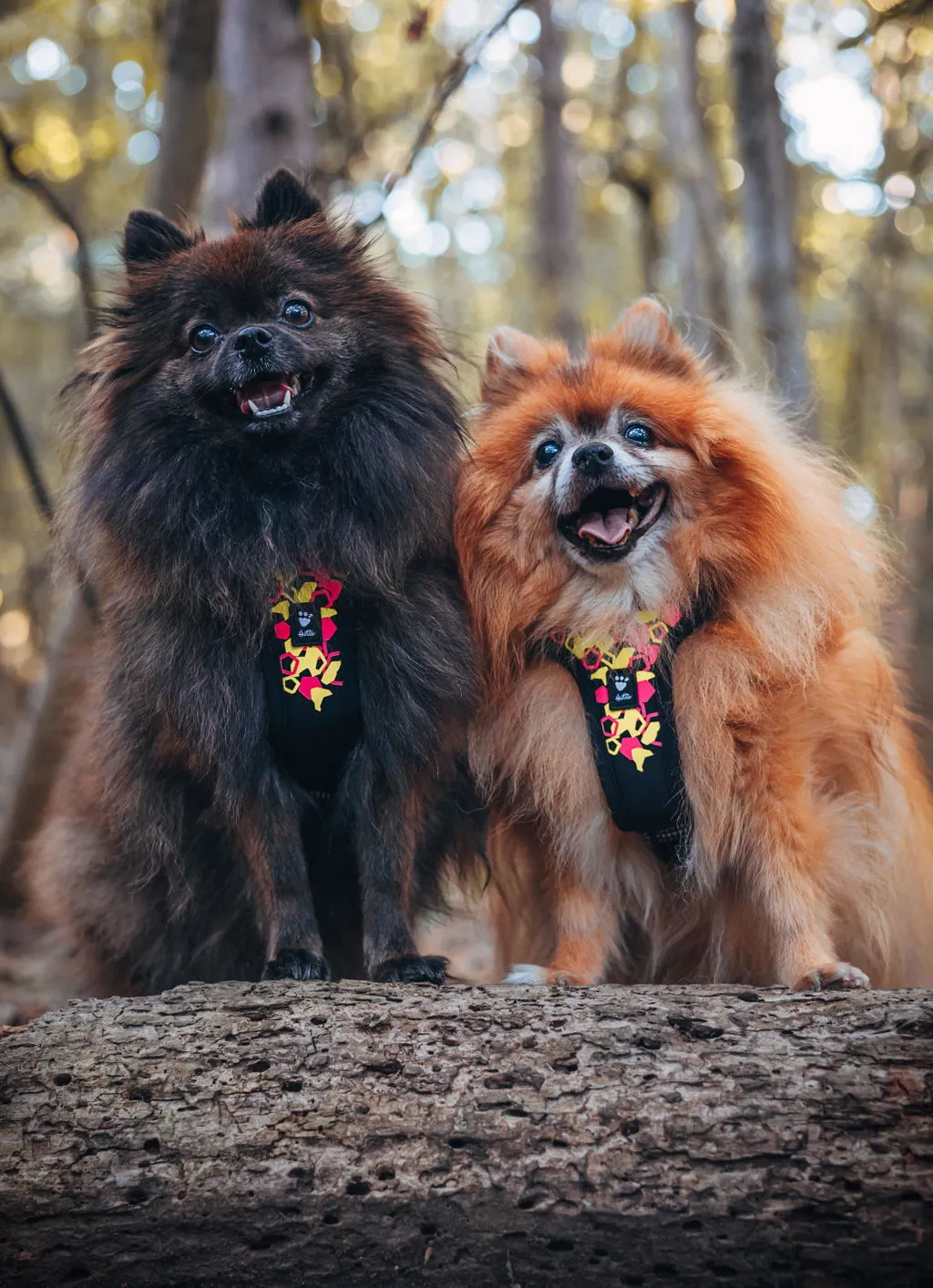 Hurtta Weekend Warrior Neon Harness II hundesele Neon licorice refleks