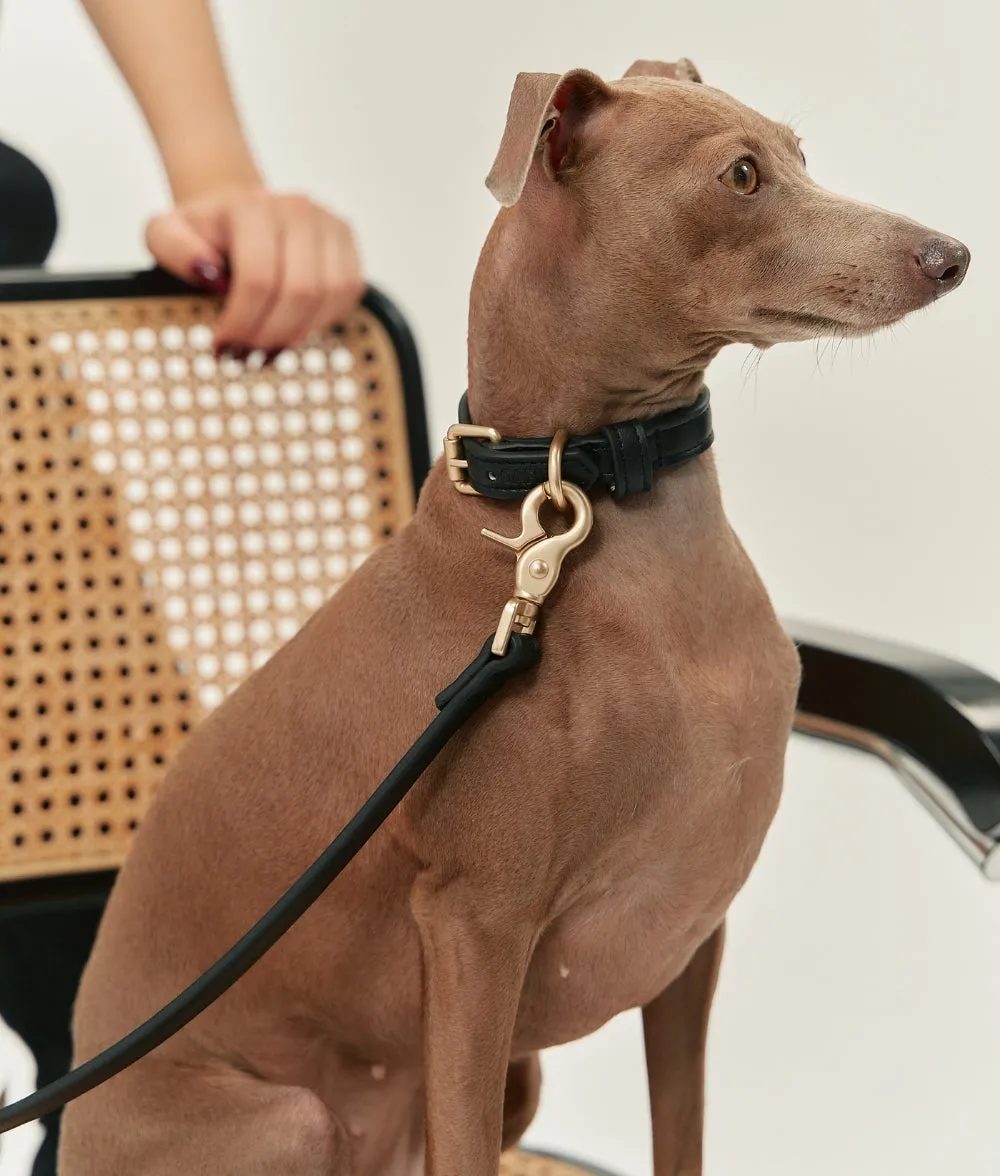 Cafide Jala hundehalsbånd sort vegansk læder