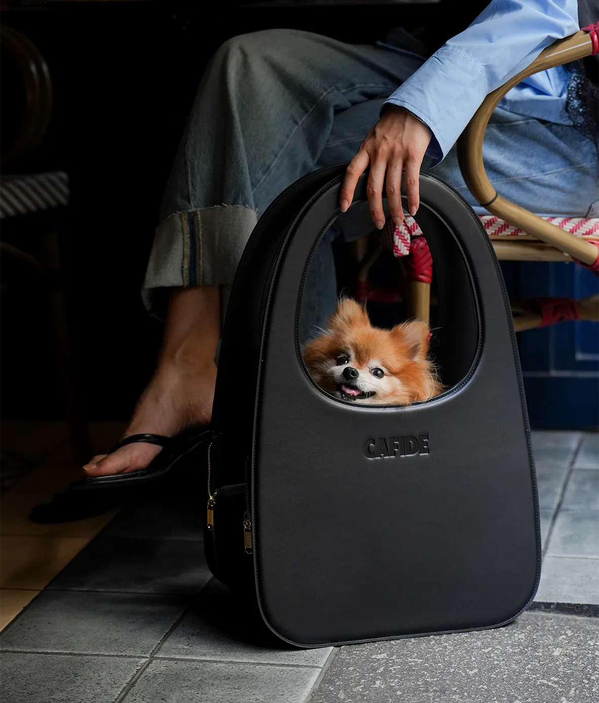 Cafide Jala sort transporttaske til små hunde