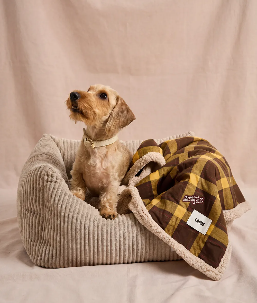 Cafide Toia Mustard Tartan hundetæppe M 90x65cm ternet