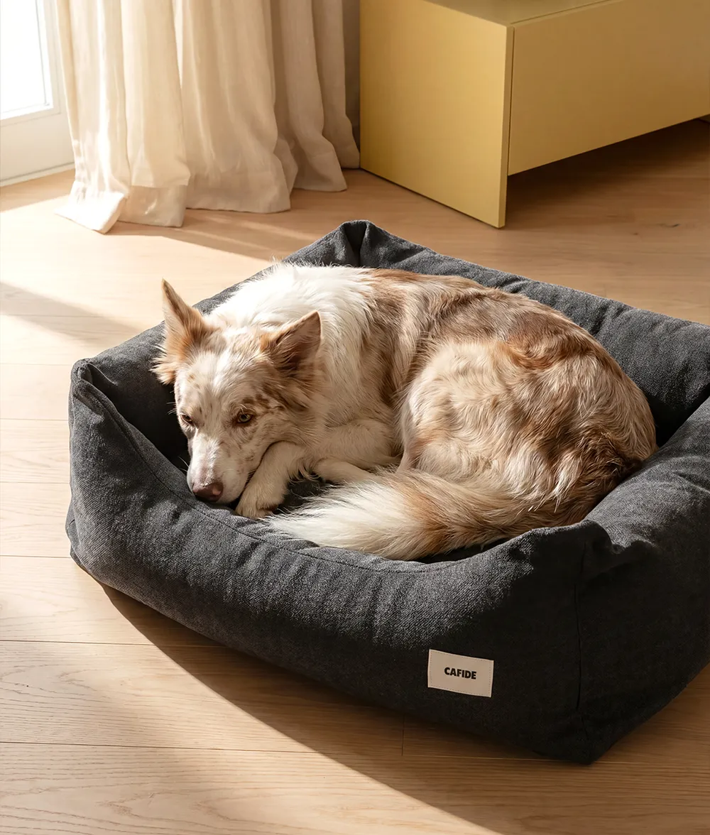 Cafide Snozy antracit hundeseng i chenille