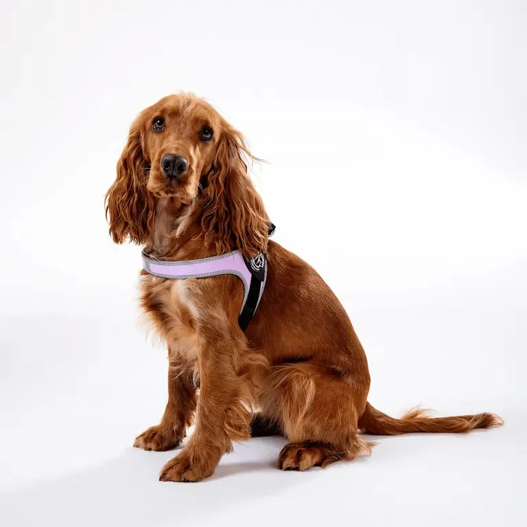 Tre Ponti Easy Fit hundesele sort str 2 reflekskant