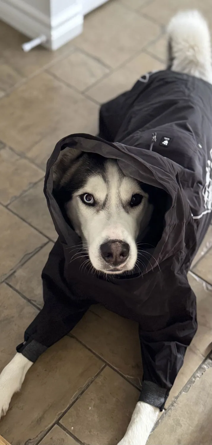 Hurtta Mudventure hundeoverall raven vandtæt