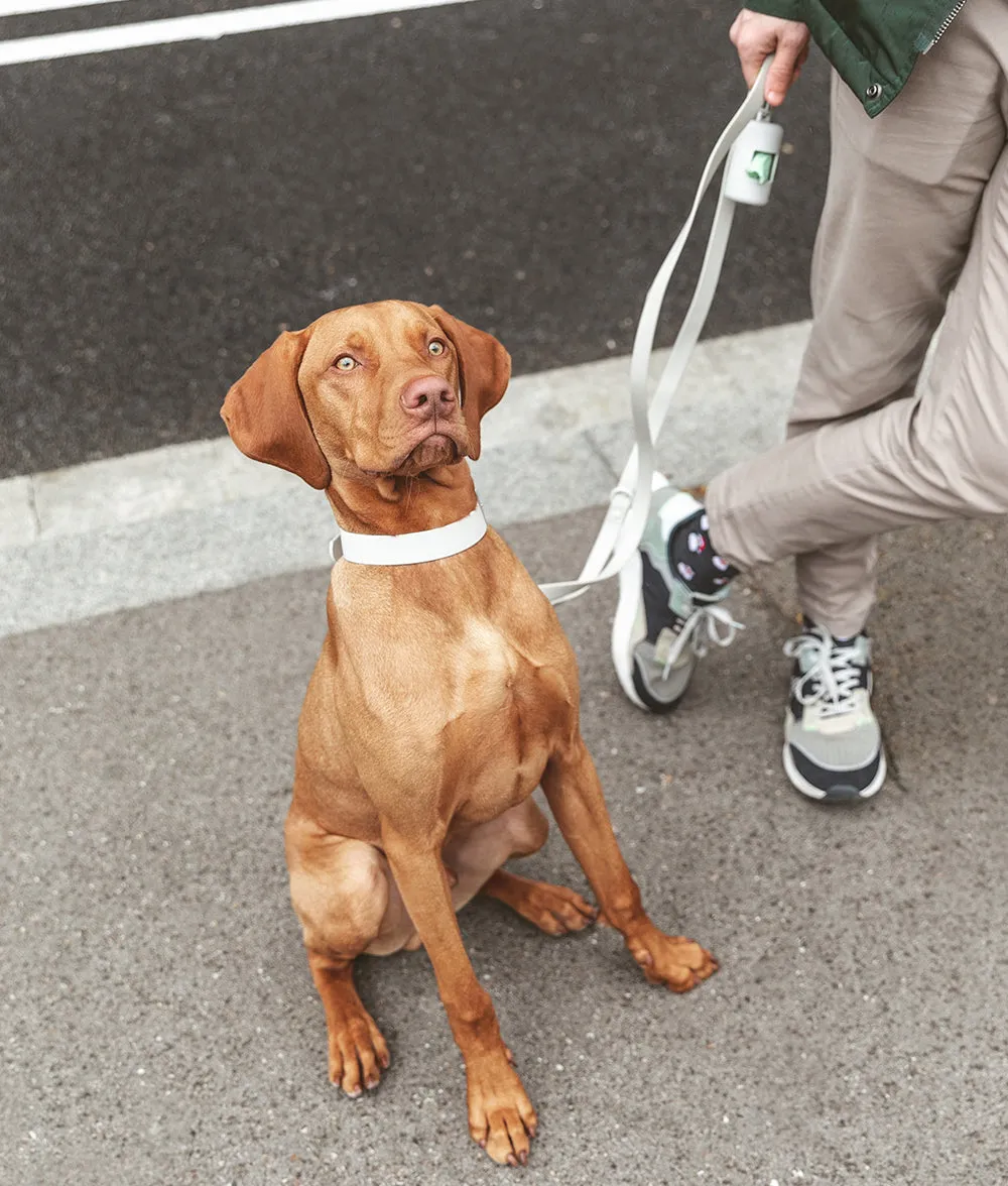 Cafide Gala hundehalsbånd beige justerbart