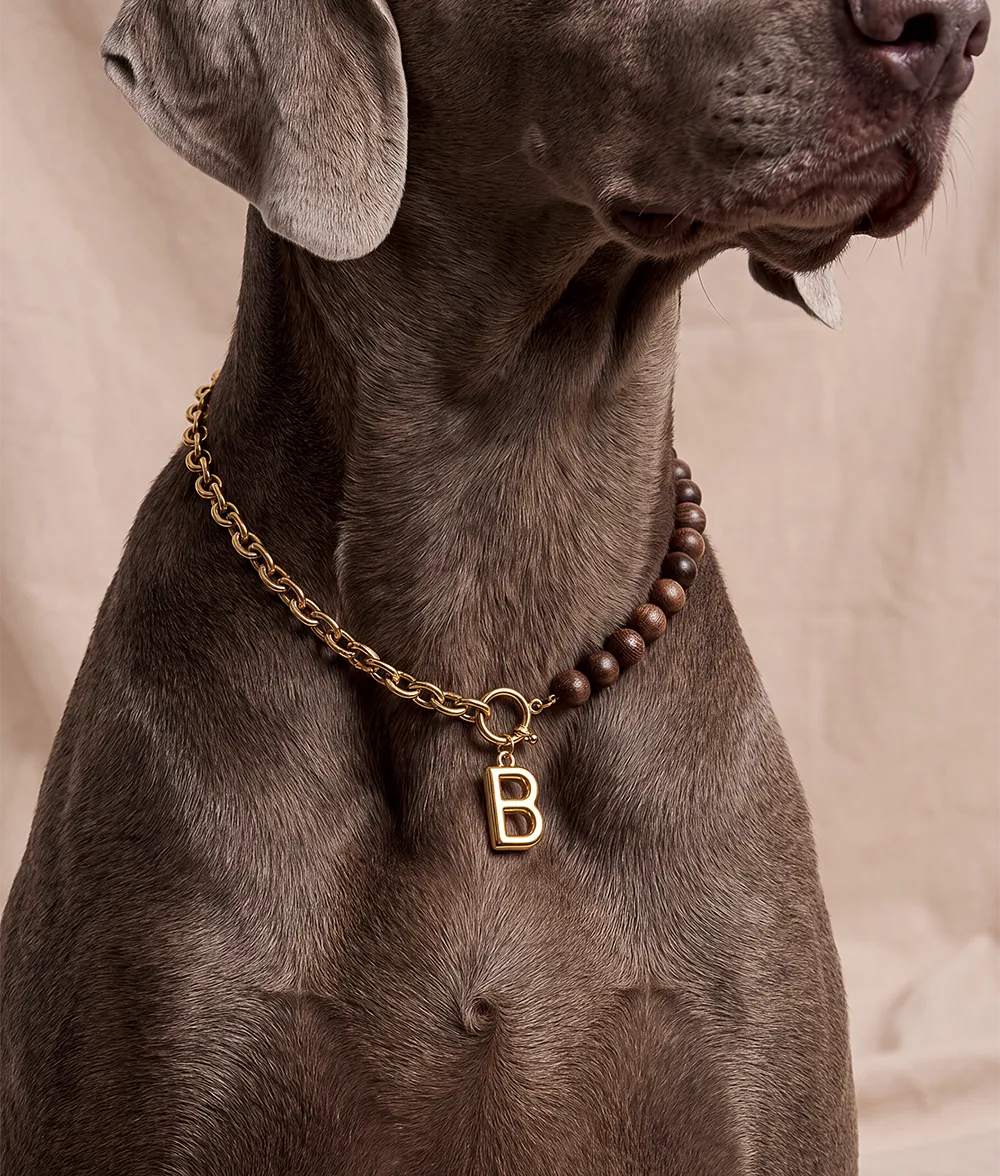 Cafide Sira hundehalsbånd guld træ bogstav
