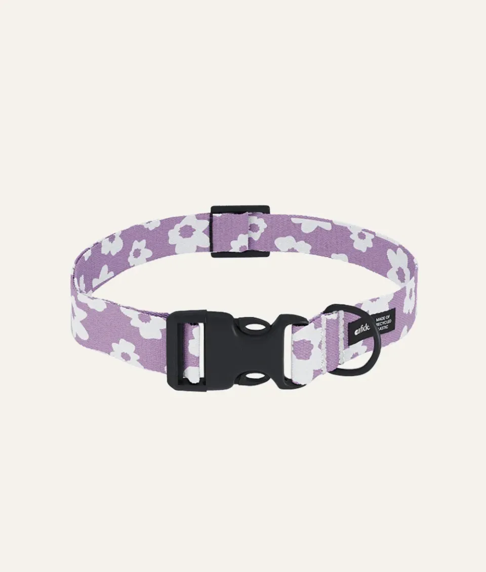 Cafide Juno halsbånd violet M genbrugs-PET