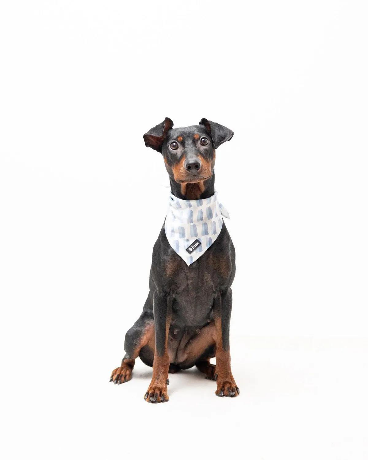 Tazz A Sky Full Of Lines bandana M hvid blå