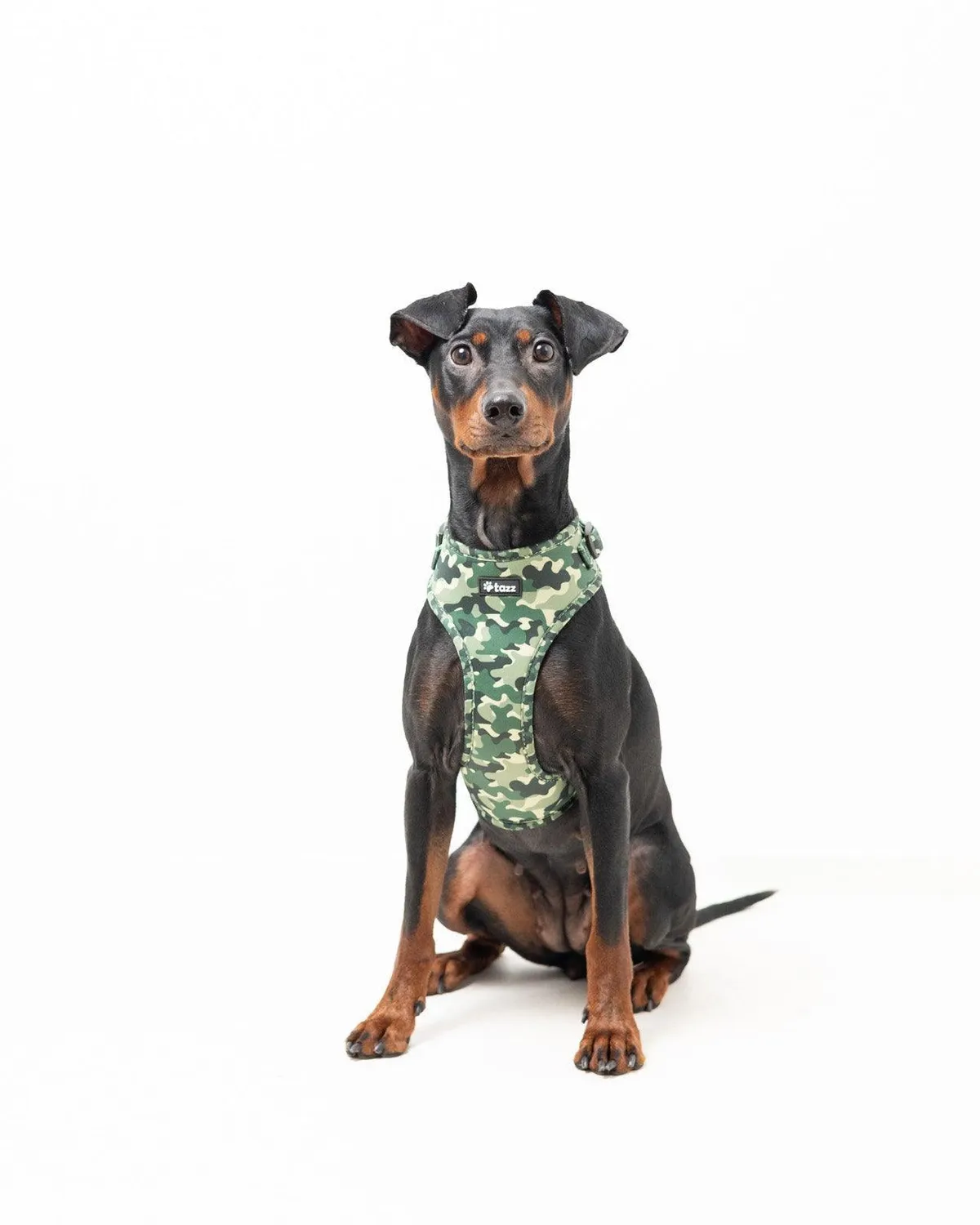 Tazz Green Camo hundesele justerbar grøn