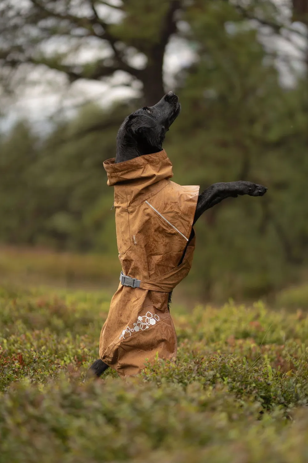 Hurtta Monsoon II regndækken hund cinnamon vandtæt