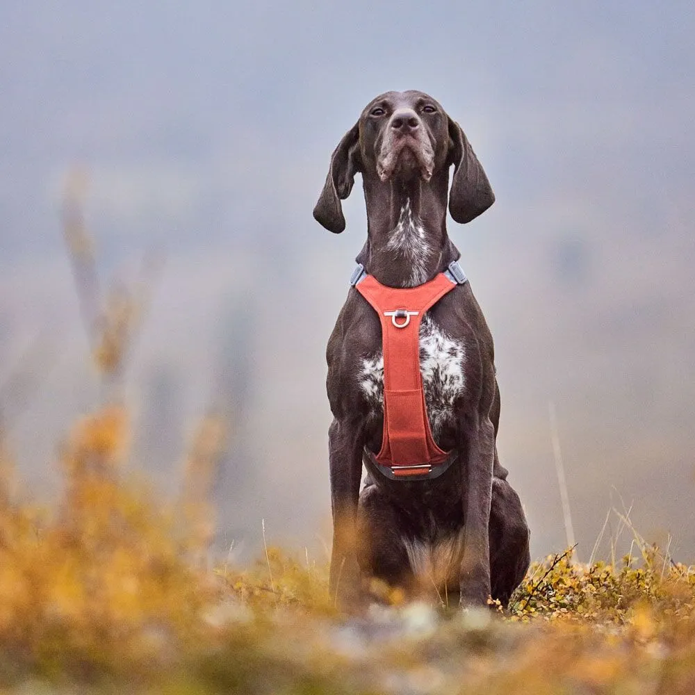 Hurtta Rover hundesele Forest 65-80 til store hunde