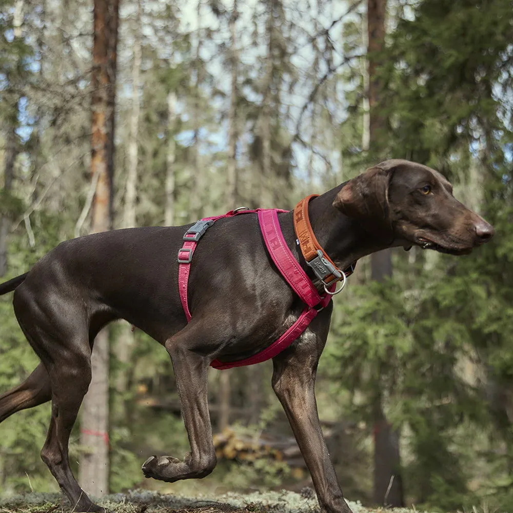 Hurtta Casual Y-Harness hundesele Raven 60-70 vandafvisende
