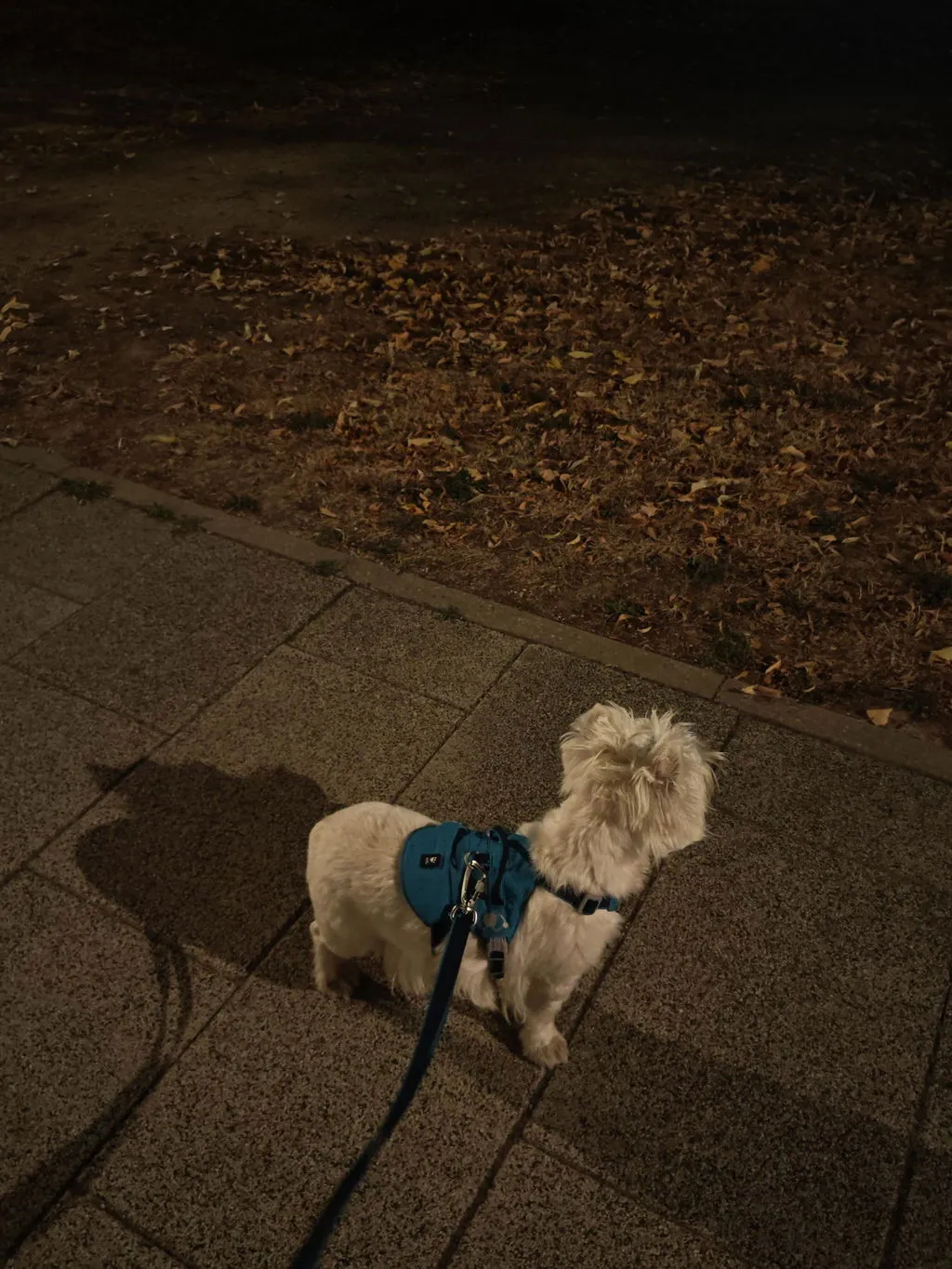 Hurtta Safeguard hundesele Blackberry 55-70 flugtsikker
