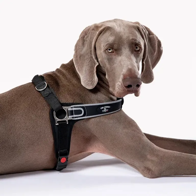 Tre Ponti Forza hundesele anti-træk