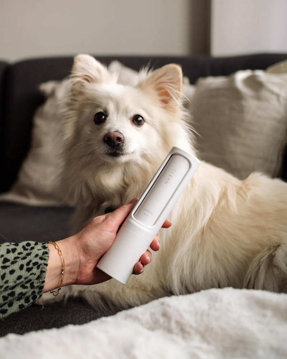 Doksie Inno I5 fnugrulle til hundehår