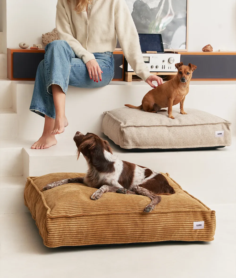 Cafide Cuadra Mustard Corduroy hundeseng sennep fløjl
