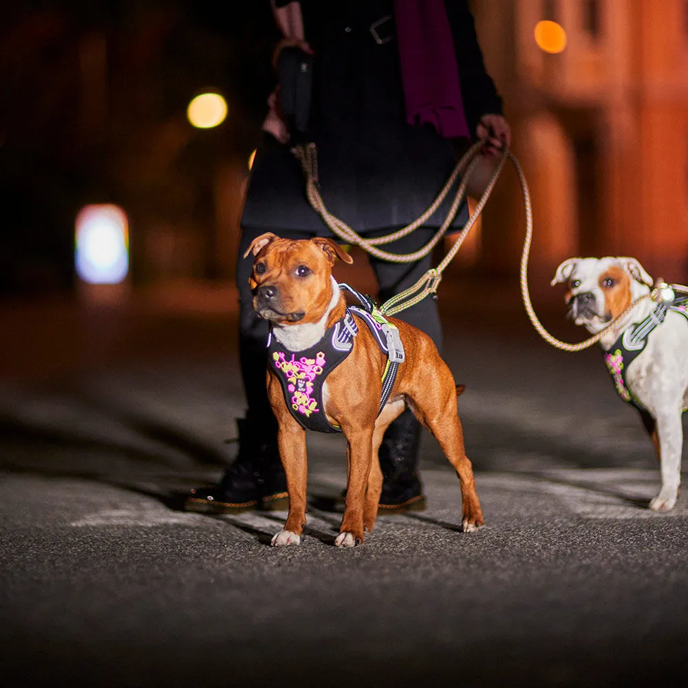 Hurtta Weekend Warrior Neon Harness II hundesele Neon licorice refleks