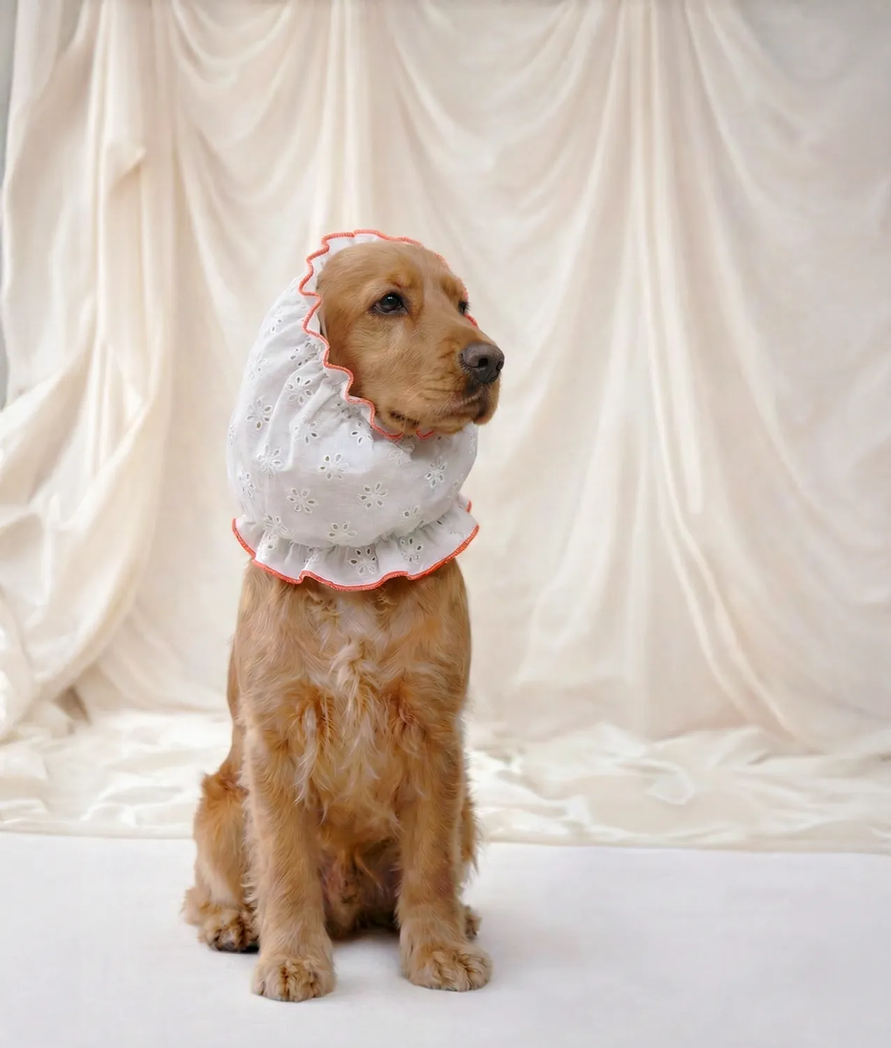 Cafide Olga Coral hundesnood åndbar broderi
