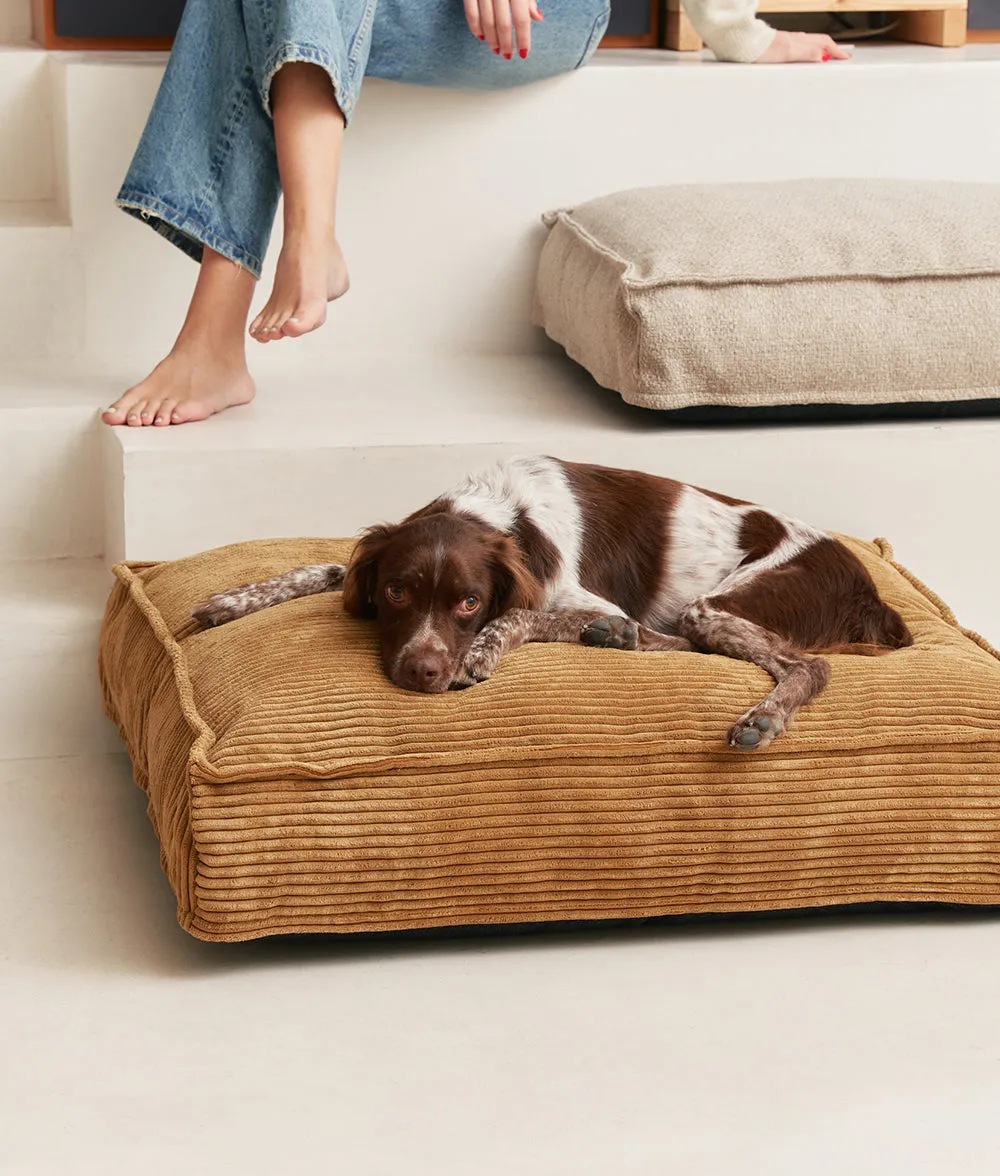 Cafide Cuadra Mustard Corduroy hundeseng sennep fløjl