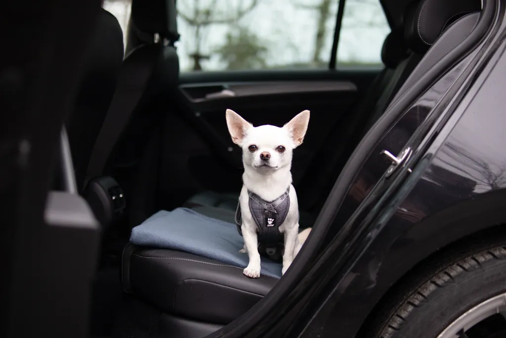 Hurtta Travel hundesele Blackberry 10-20 kg crash-testet