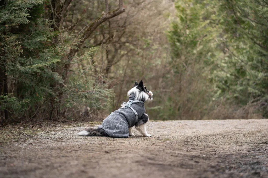 Hurtta Seeker hundesele Raven Y-sele let