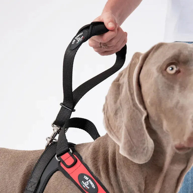 Tre Ponti Control hundeline kort sort til store hunde