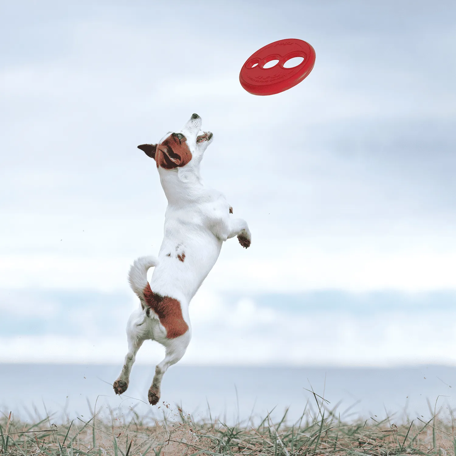 Rogz RFO Fetch hundelegetøj frisbee blød