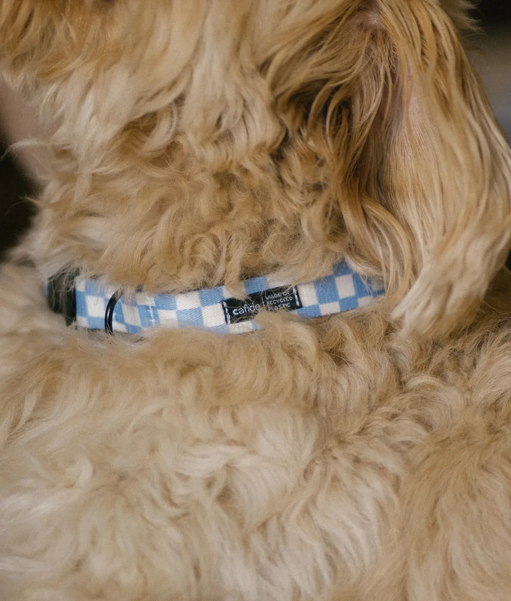 Cafide Juno Vichy Blue hundehalsbånd recycled