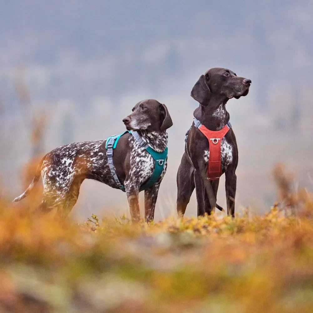 Hurtta Rover hundesele Forest 65-80 til store hunde
