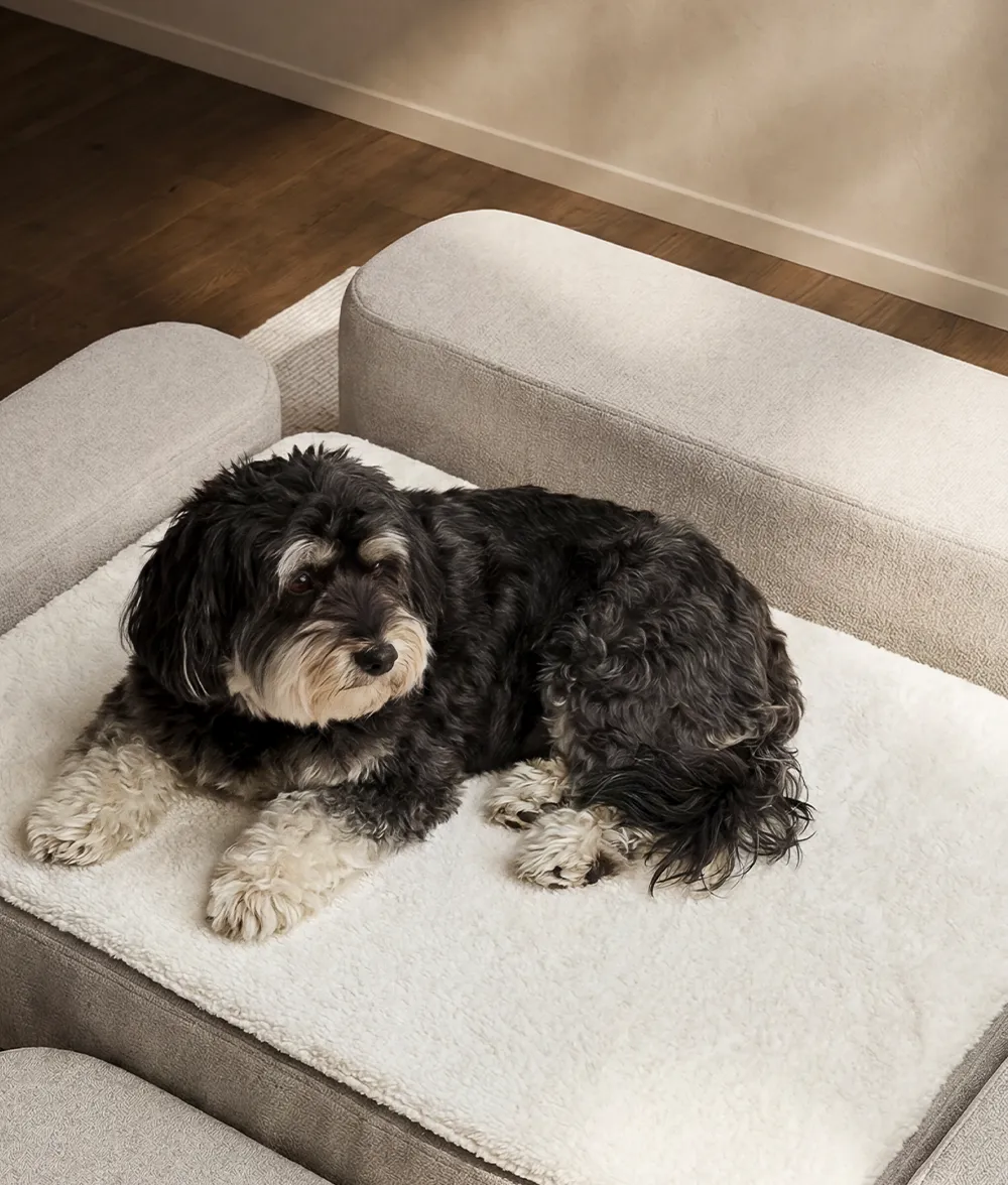 Cafide Soma topper til hundeseng frotté