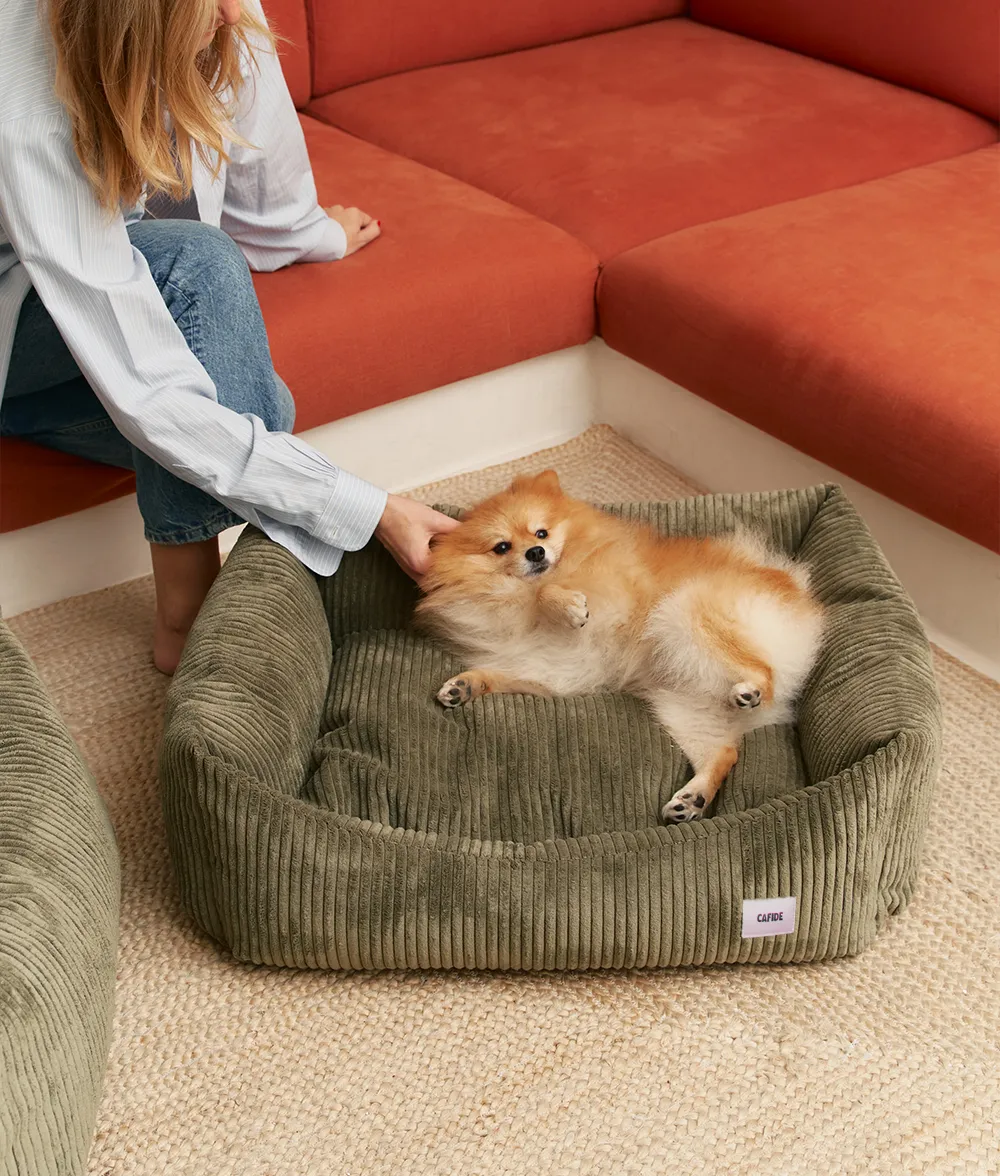 Cafide Snozy hundeseng grøn fløjl S 56x50x18