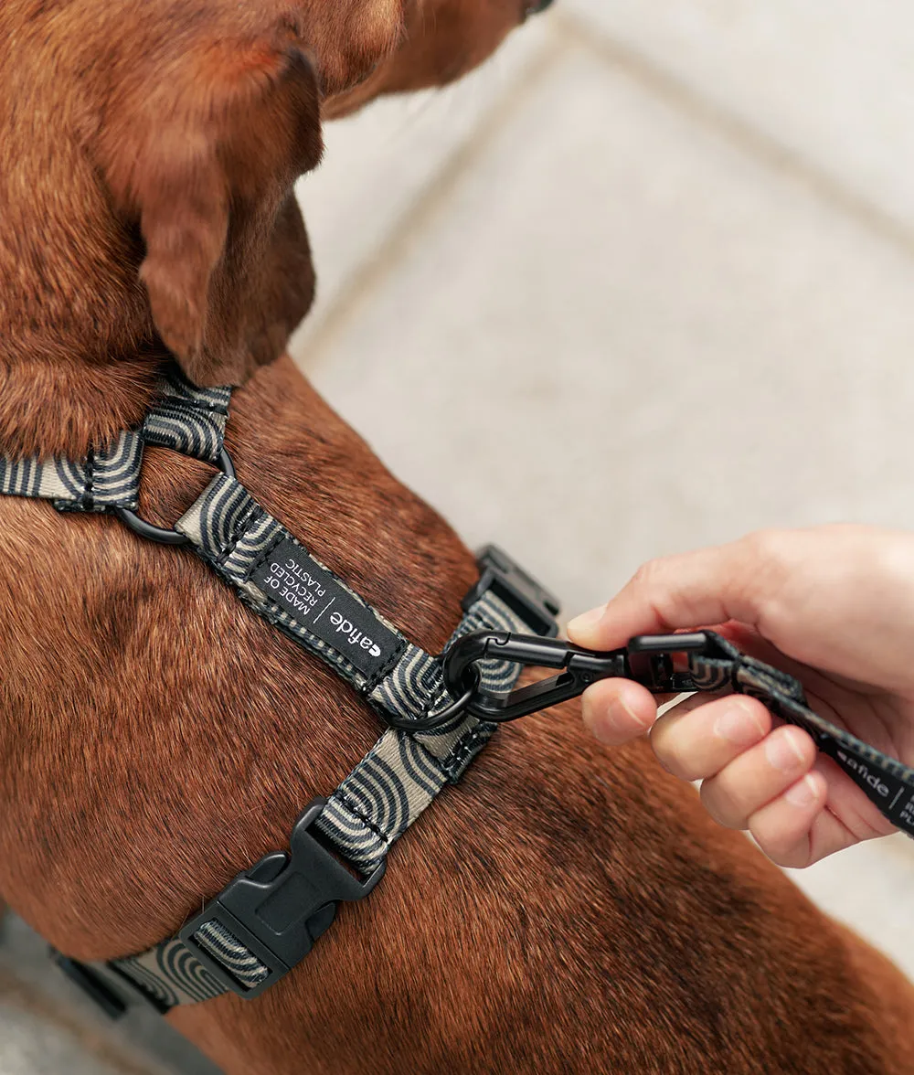 Cafide Juno hundesele grøn japan genbrug