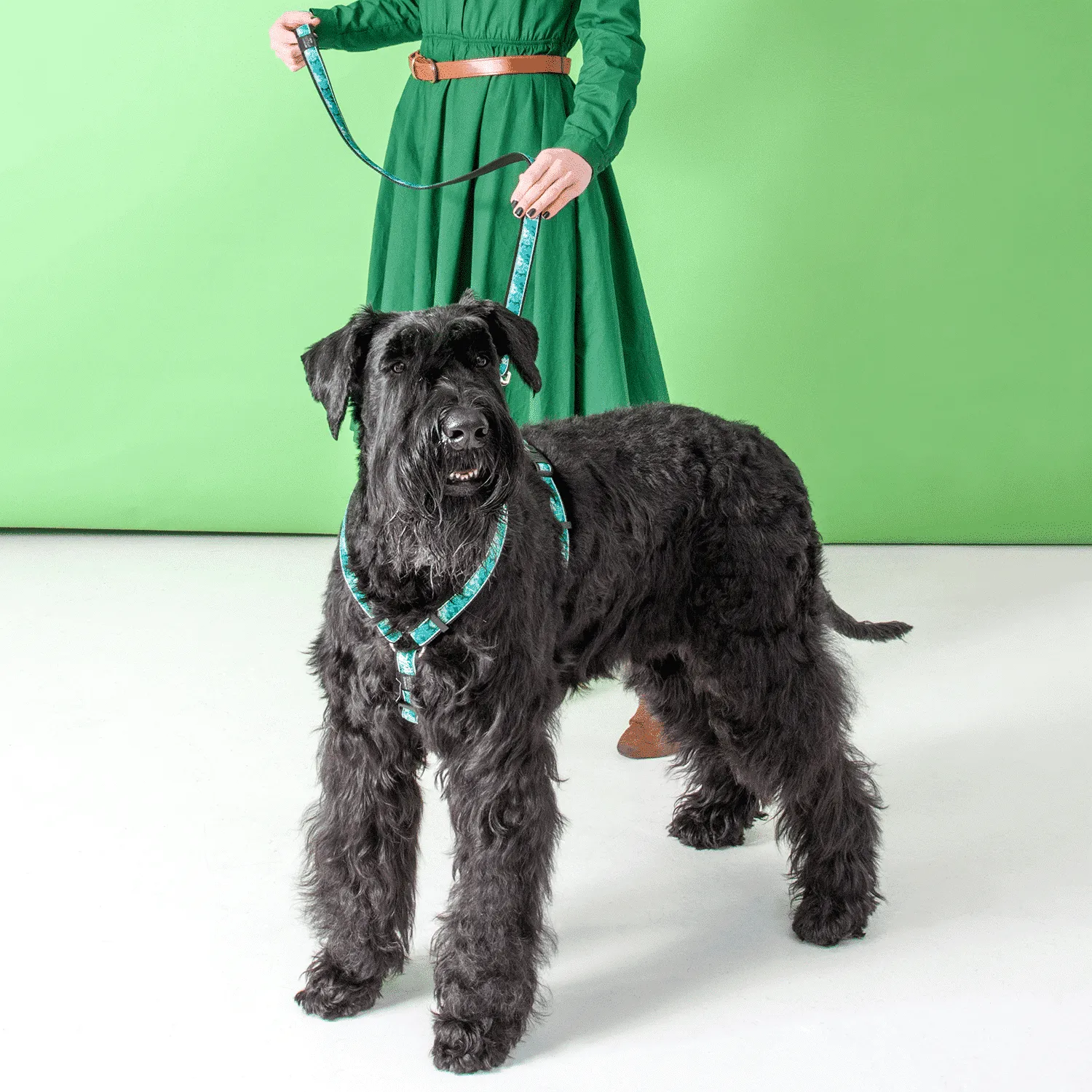 Rogz Fancy Dress Classic hundesele