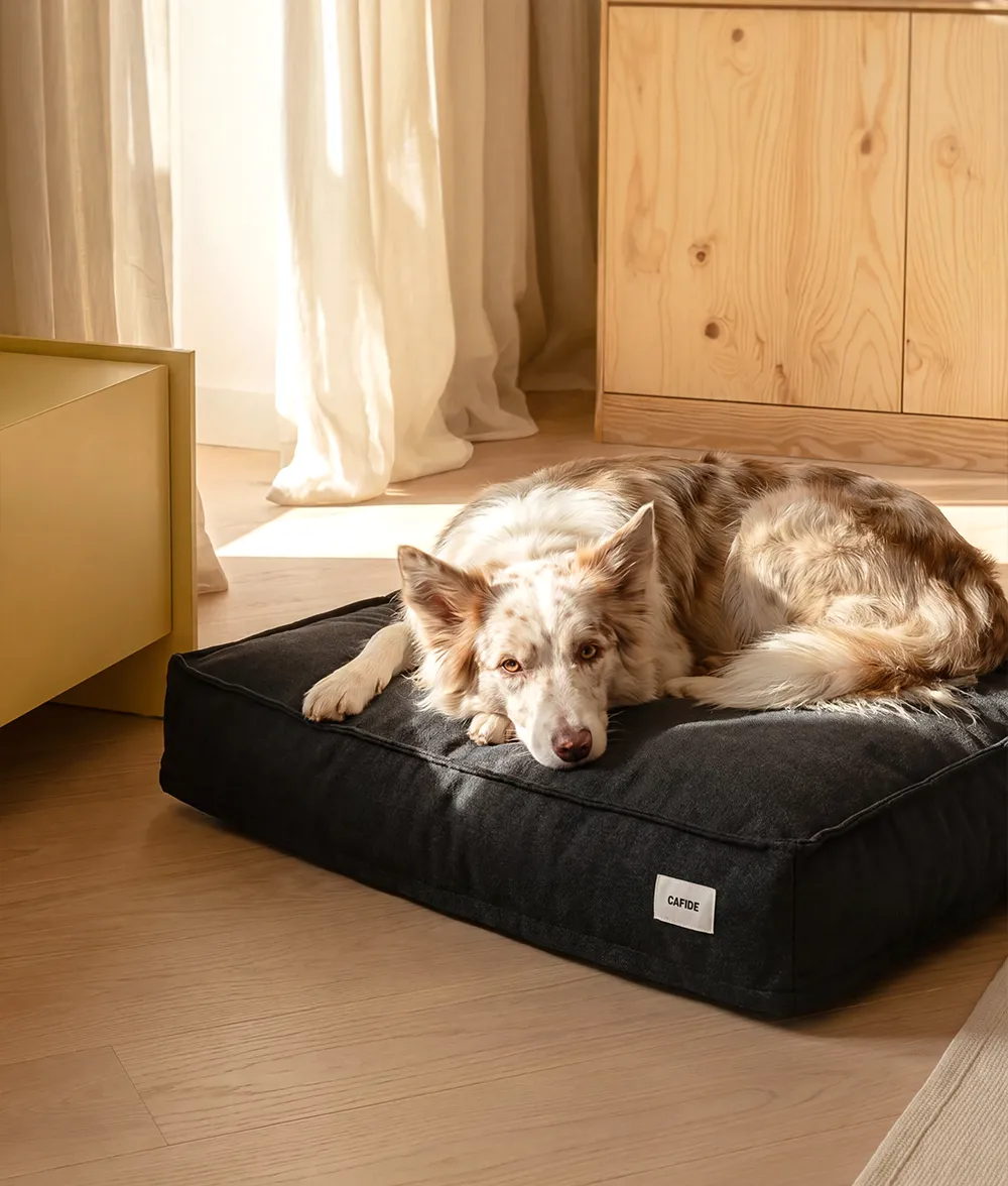 Cafide Cuadra Anthracite hundeseng sort vaskbar