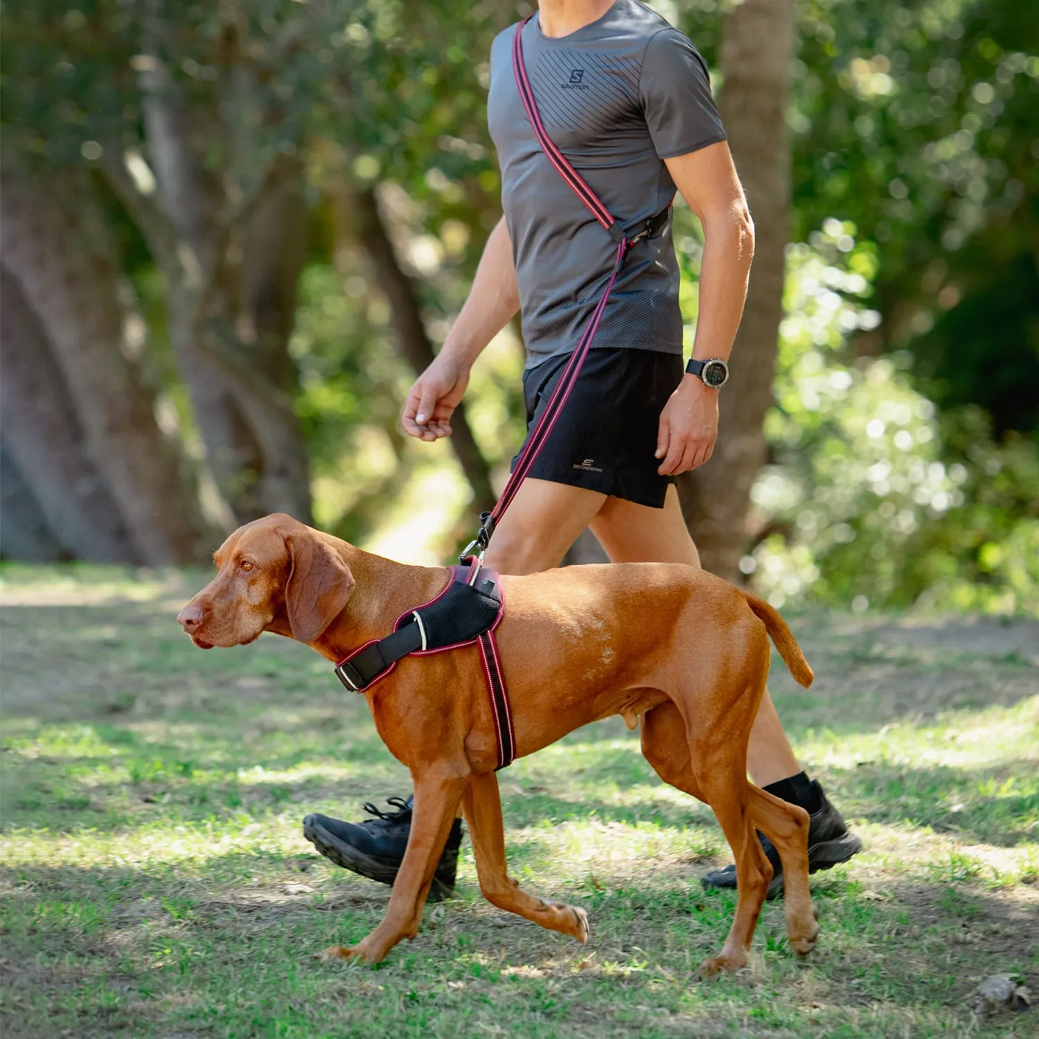 Rogz AirTech Multi hundesnor justerbar