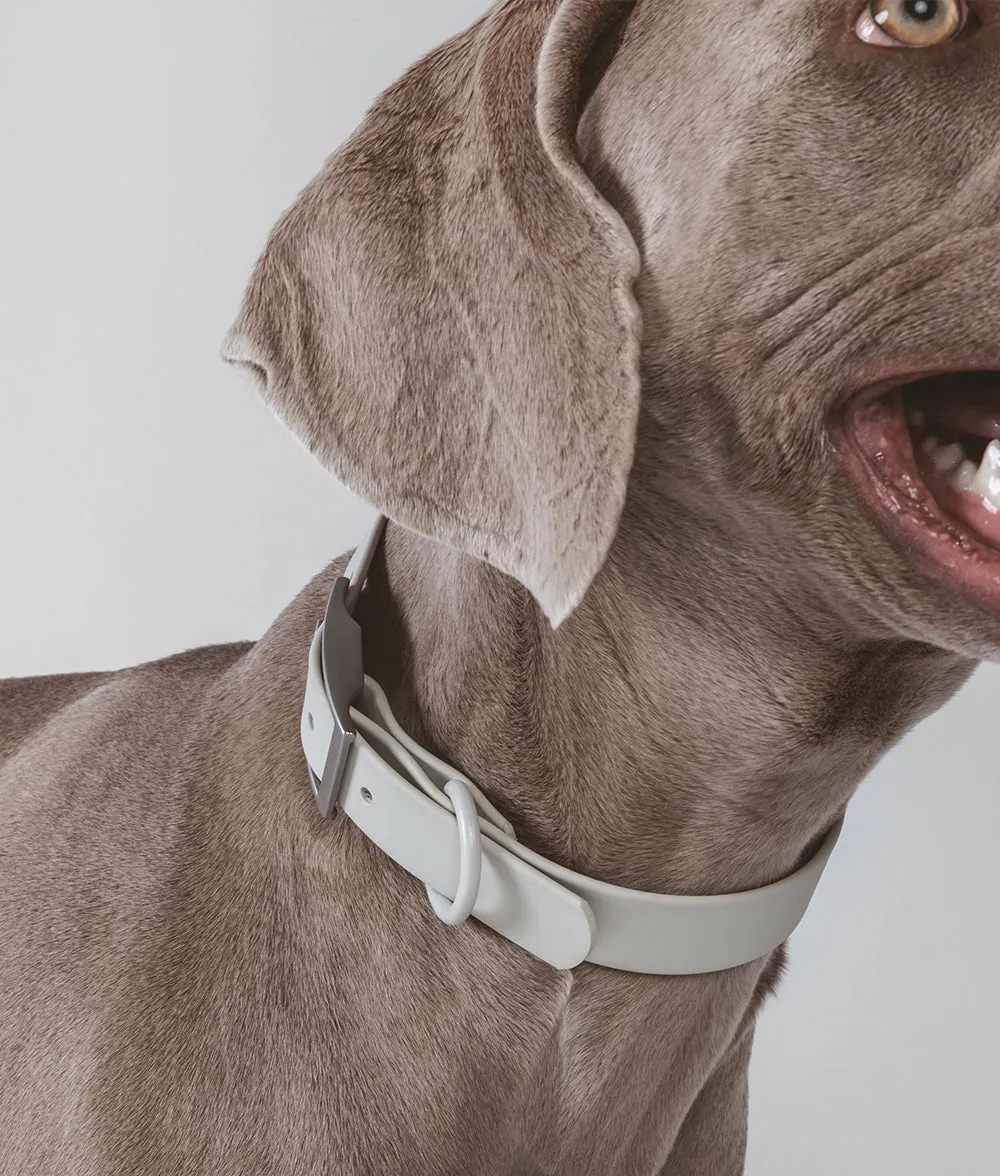 Cafide Gala hundehalsbånd beige justerbart