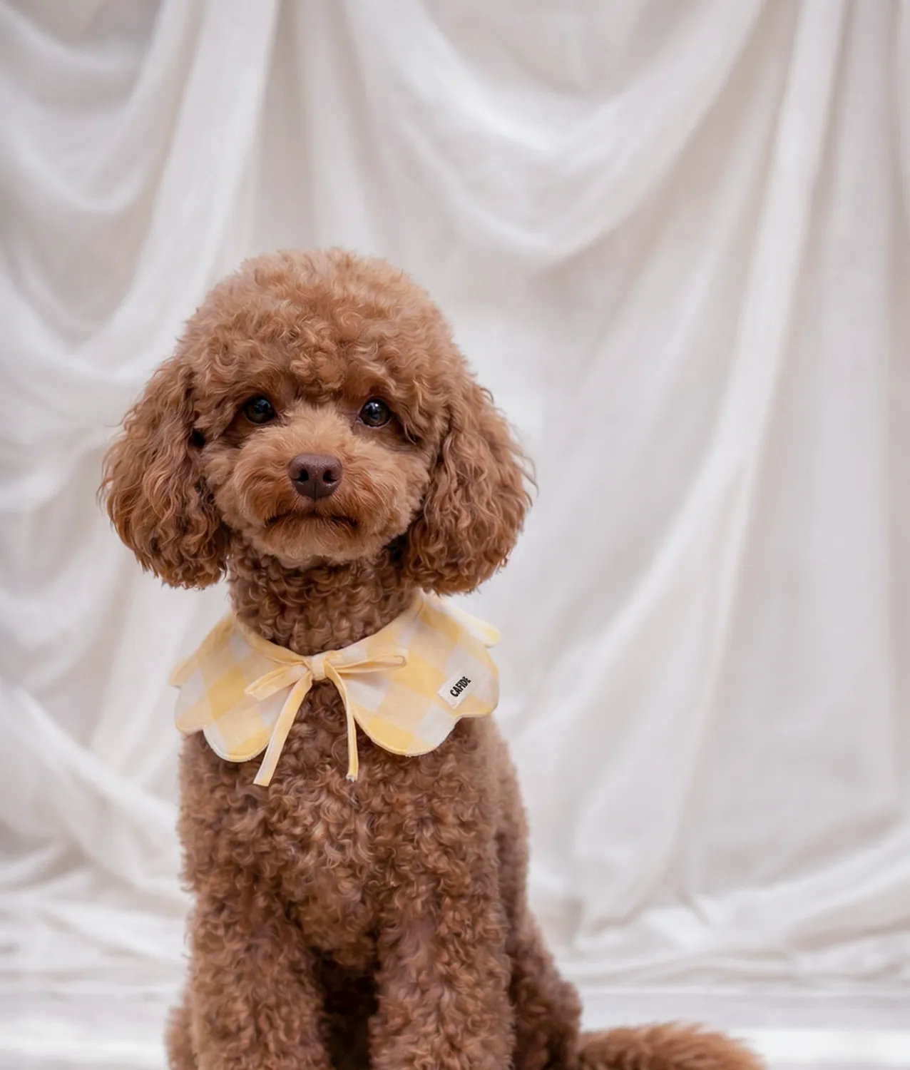 Cafide Lola Yellow Gingham hundebandana gul bomuld