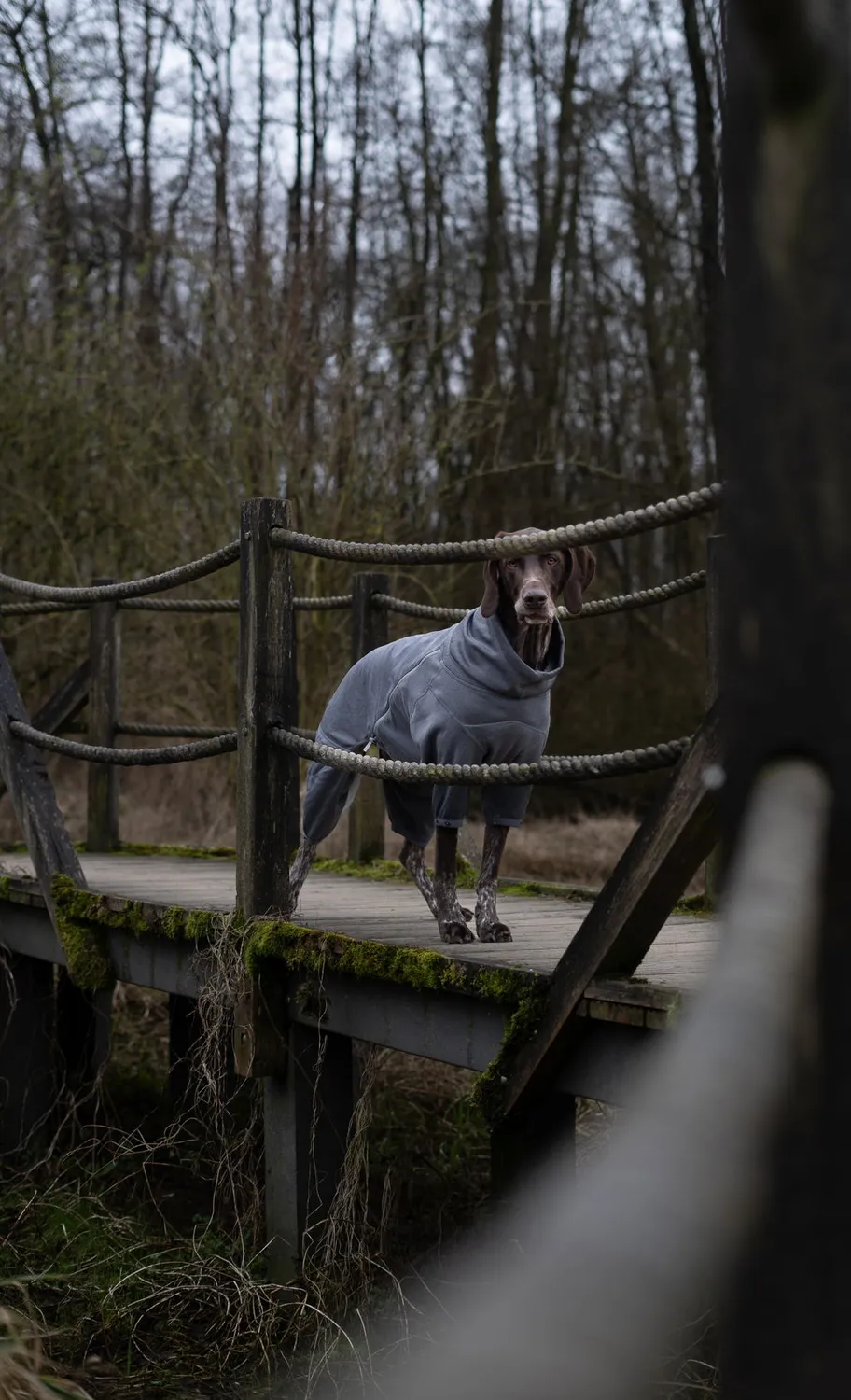 Hurtta Midlayer Overall hundedragt blackberry varm