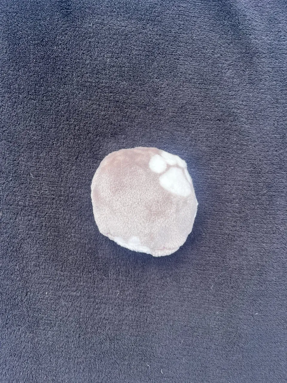 Wellness Rund Pude Hundelegetøj Beige S med Piv