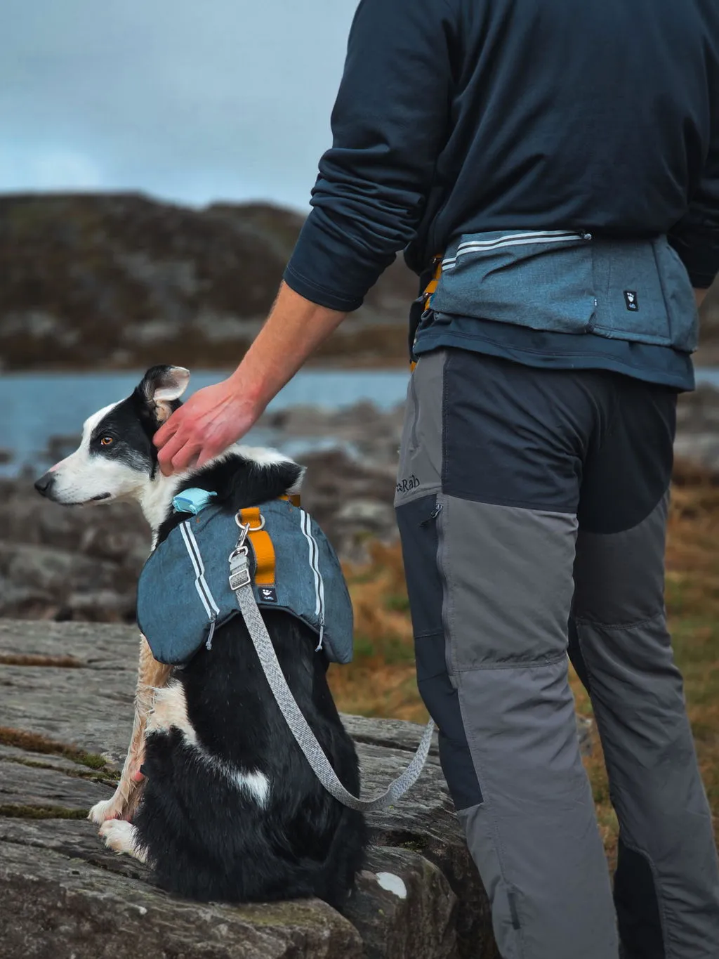 Hurtta Expedition løbebælte blackberry handsfree