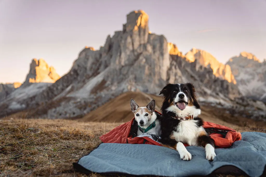 Hurtta Sleepover hundesovepose cinnamon isoleret