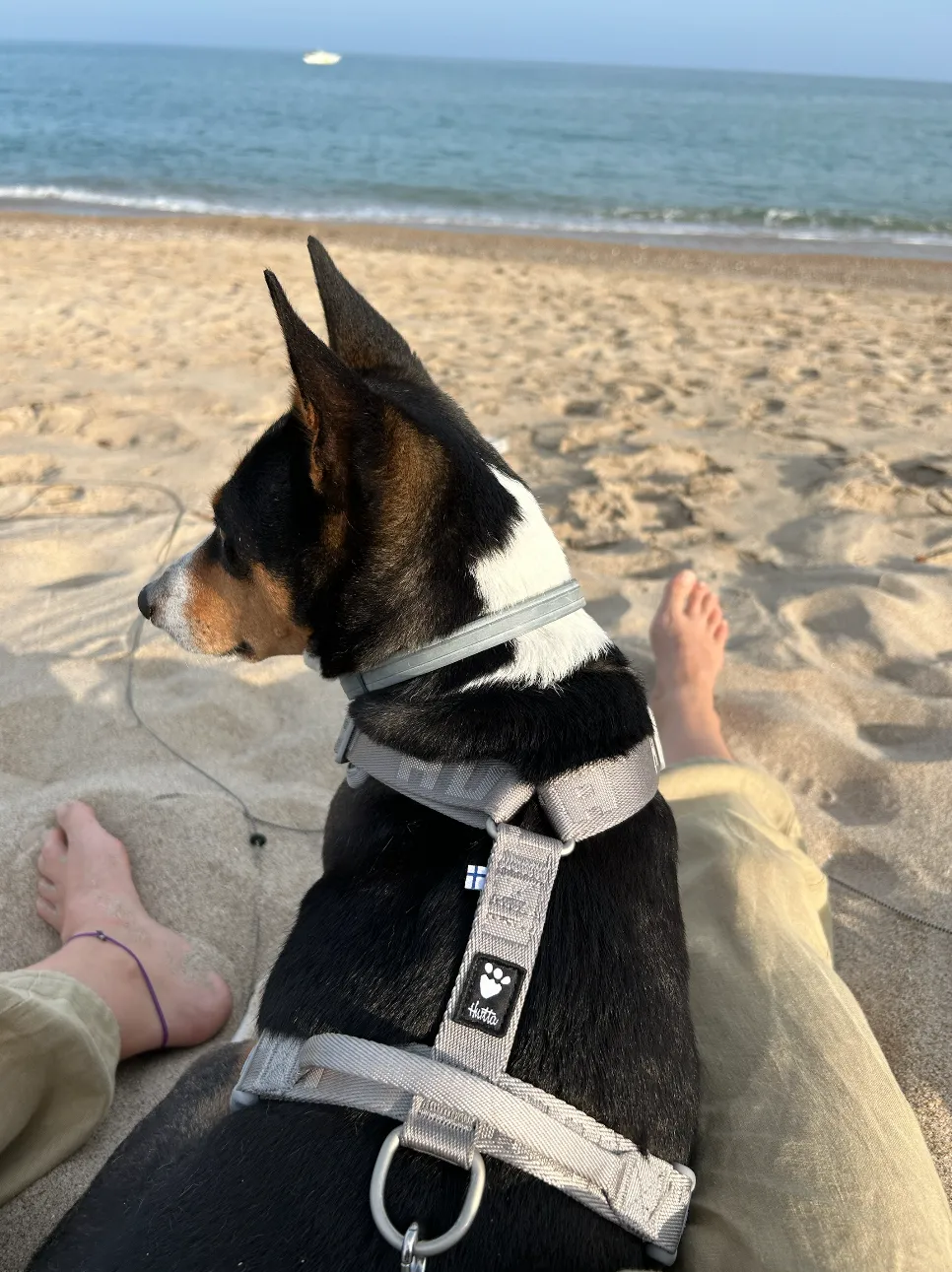 Hurtta Venture No-Pull hundesele Shadow 45-60 anti-træk