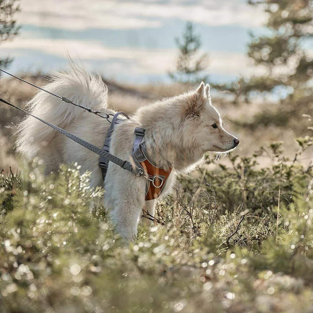 Hurtta Venture No-Pull hundesele Shadow 45-60 anti-træk