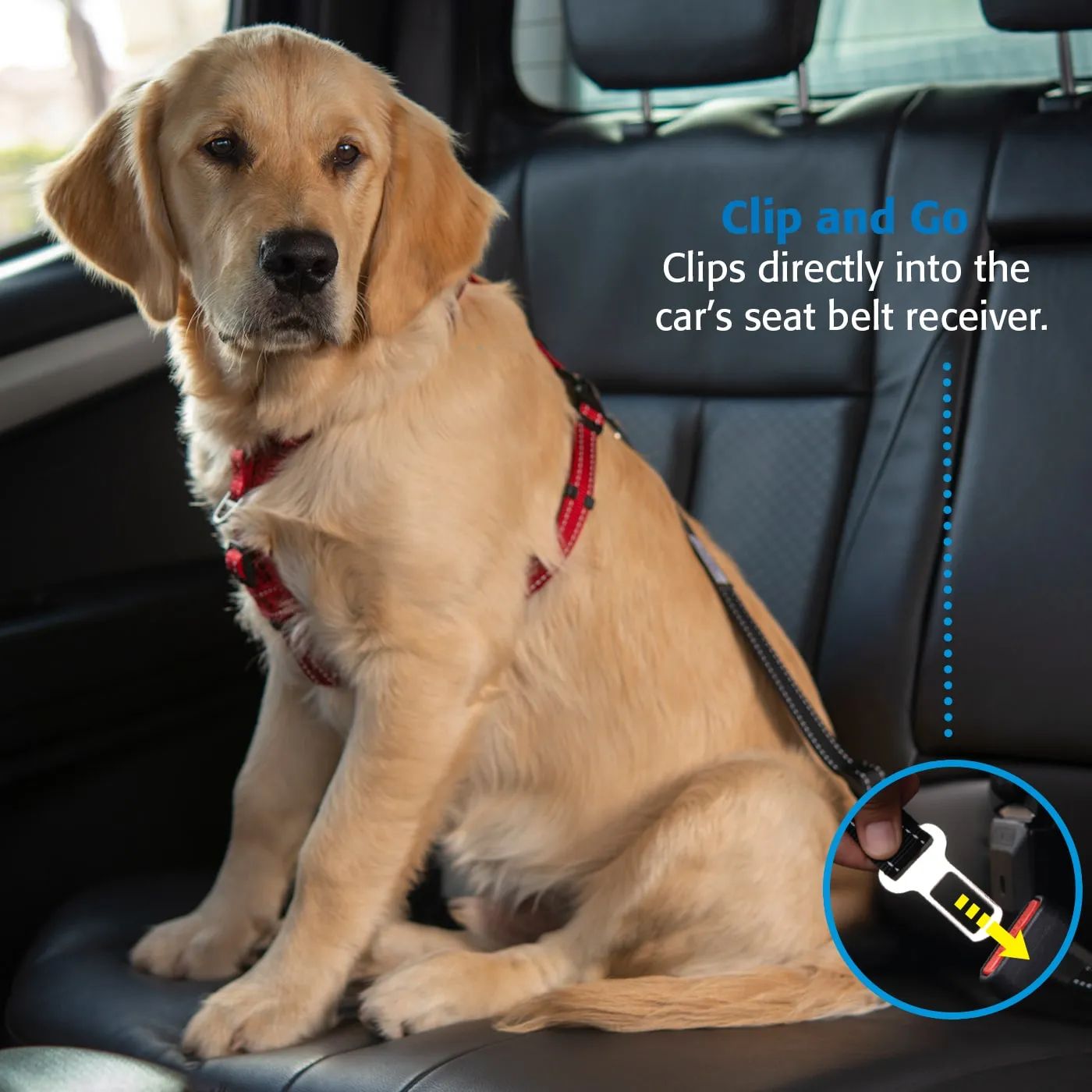 Rogz Utility Car-safe seleclip til hund i bil
