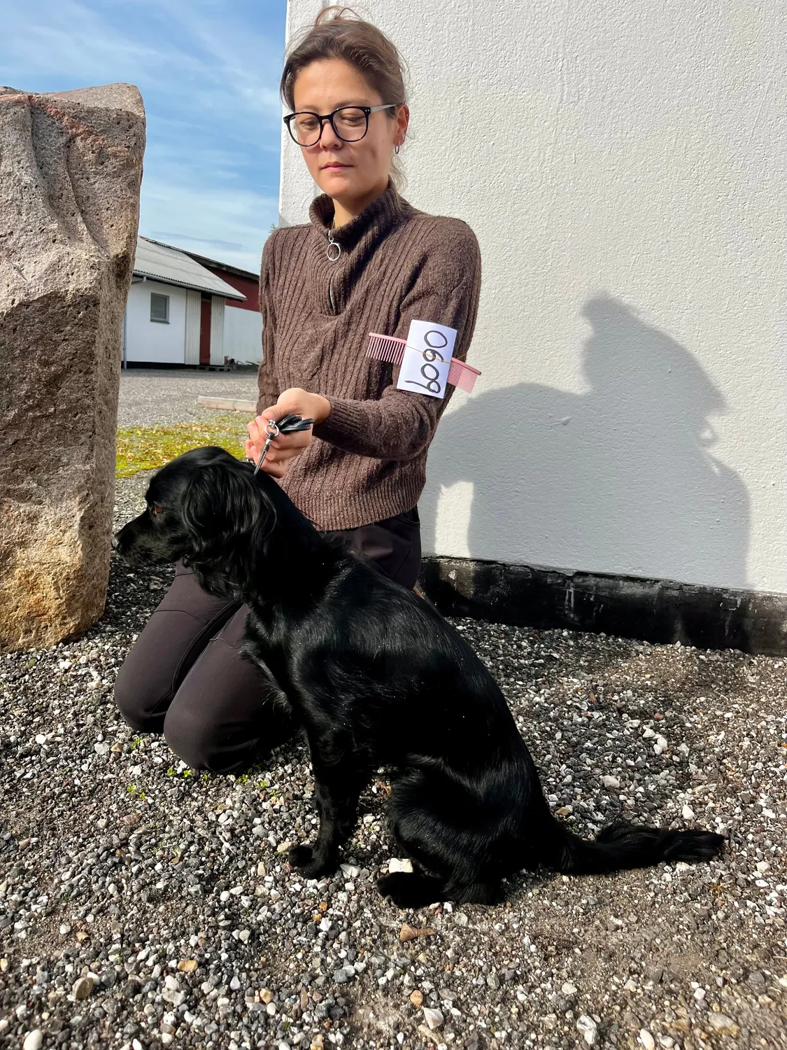 Klausen Import Show Kam 18,5 cm udstilling sort