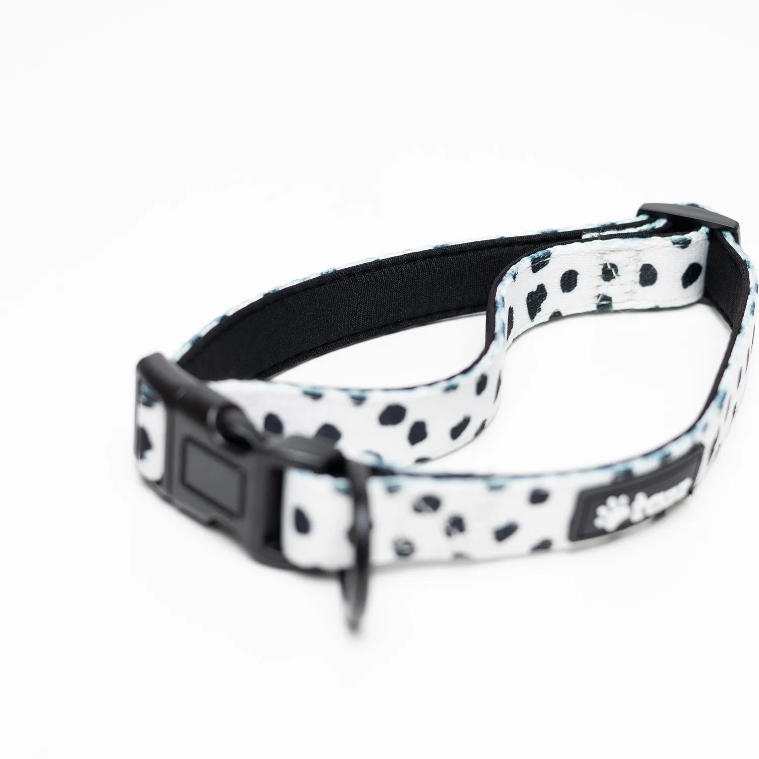 Tazz Spots on Run hundehalsbånd M prikket
