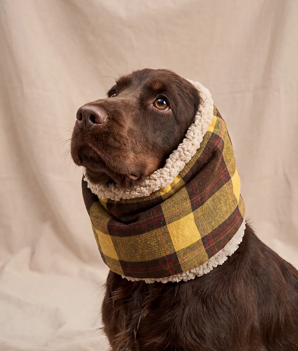 Cafide Olga Tartan Mustard snood til hund varm