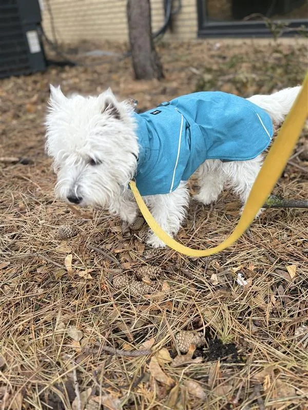 Hurtta Expedition Parka II hundejakke forest foret