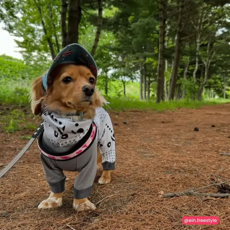 Tre Ponti Easy Fit hundesele Click Penny Mesh pink camo