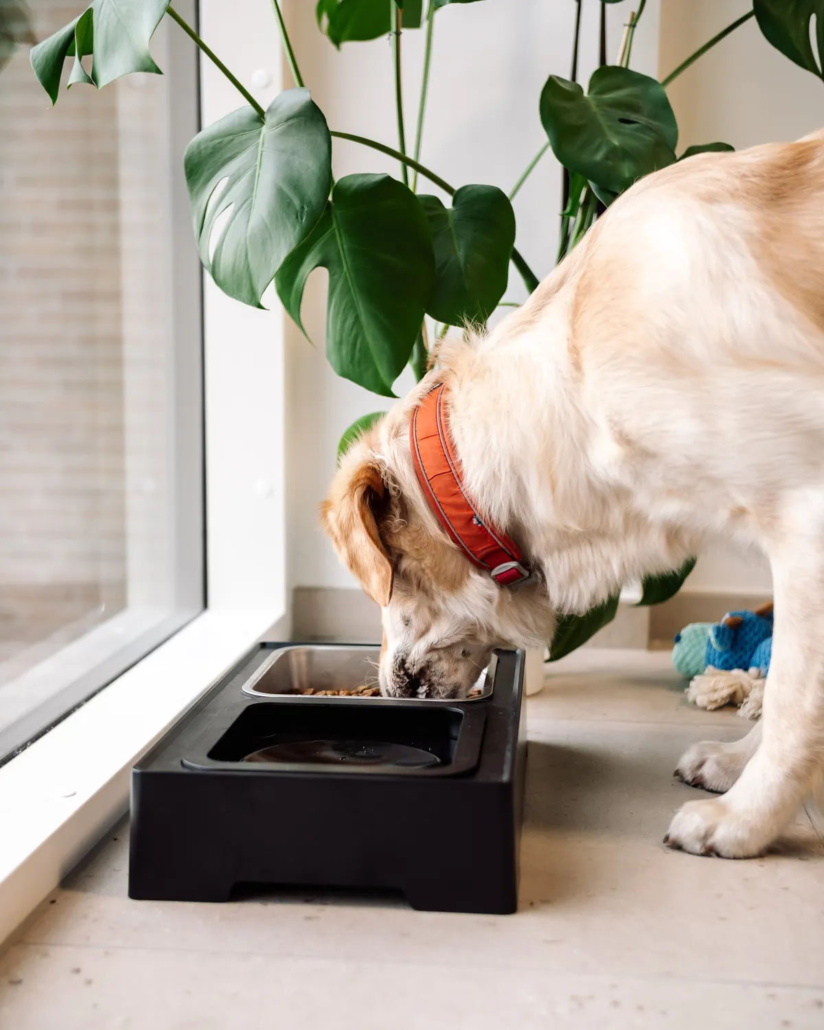 Doksie Home H2 hundeskål med stativ anti-spild