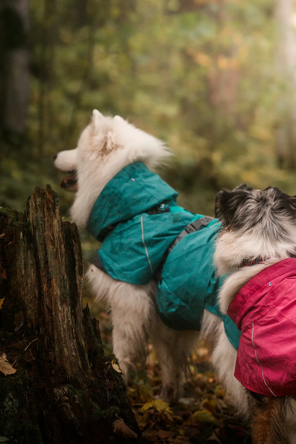 Hurtta Monsoon II regndækken hund cinnamon vandtæt